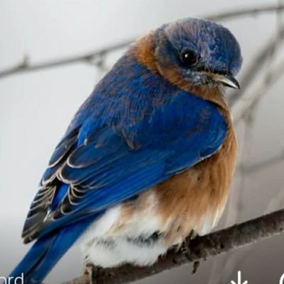 DonnaSambrook's profile picture. 