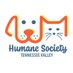 HSTV (@hstv1885) Twitter profile photo HSTV (@hstv1885) Twitter profile photo