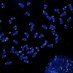 Doksani Lab (@doksanilab) Twitter profile photo Doksani Lab (@doksanilab) Twitter profile photo