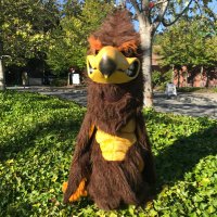 heatherwood hawks@heatherwoodEPS(@heatherwoodhaw1) 's Twitter Profile Photo