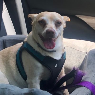 Sneu7117's profile picture. Bio