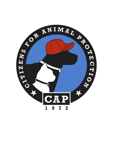 cap4pets Profile Picture