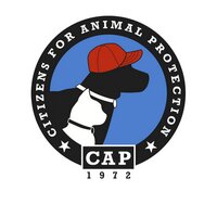 CAP4pets(@cap4pets) 's Twitter Profileg