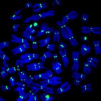 Pisani Lab (@pisanilab) 's Twitter Profile Photo Pisani Lab (@pisanilab) 's Twitter Profile Photo