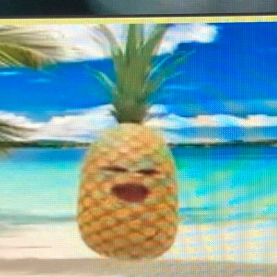 kenzo_0330's profile picture. ネコしか勝たん