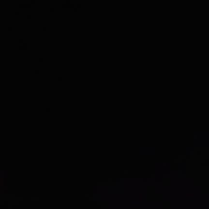 Praveen29556167's profile picture. 