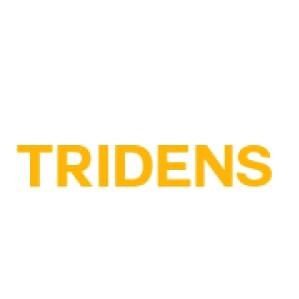 Tridens Partners empowers organizations to become leaders . We help transform technology so you can be armed for the digital future.