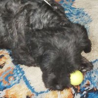 Salvador Muñoz (@salvado43539035) 's Twitter Profile Photo