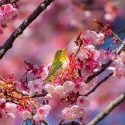 EmmaJam53587165's profile picture. Chat with friends make online business local & worldwide