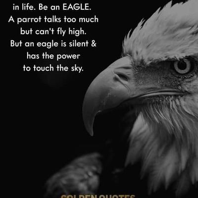 Francis58537311's profile picture. 