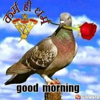 @&Baral Hem (@hemchandrabara1) 's Twitter Profile