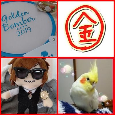 ♂のオカメインコピーちゃん虹の橋を渡ってしまいました🐦😭12年間ありがとう😭金爆好きのキリッシャー❤💙FC握手会でキリショーにプロポーズしてもらいました😌金爆ファンと繋がりたい🥺絡んでくれると喜びます🎵フォローの際一言あると嬉しいです。RT多めなので非表示推奨。