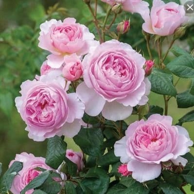 f1234mx's profile picture. سوف يأتي يوم لن أكون فيه معكم فإن وجدتم مايؤجرني أنشروه ، وإن وجدتم مايؤثمني فأتركوه، ﴿ توفّني مُسلِماً وألحِقني بالصّالحِين ﴾.