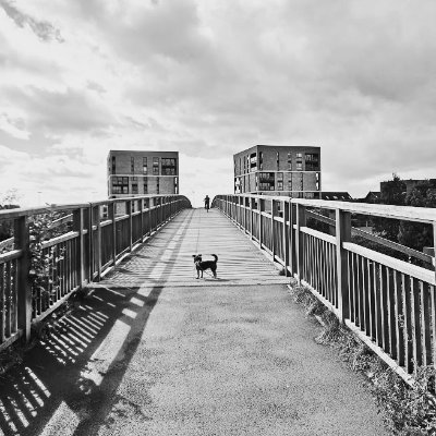 weonly_gla's profile picture. Glasgow based literature and arts fanzine. Radical/ subculture/ working class. Submissions by 23/10 for Issue Two. 
Email weonlywanttheearth@outlook.com