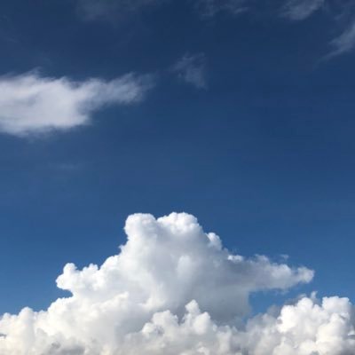 monmonkto's profile picture. 