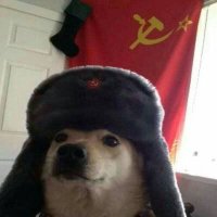 Memes Comunistas (@memescomuna) 's Twitter Profile