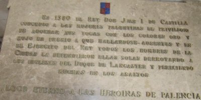 Respetuosa seguidora de Radio El Respeto y Milenaria. Mujer y palentina. Peleona como aquellas que en el S. XIV se defendieron del invasor.