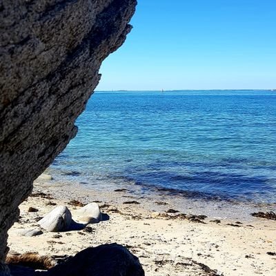 mariemllrd80's profile picture. toujours avancer malgré les obstacles...garder la tête haute et franchir les barres une à une. Ne pas fuir devant les difficultés!