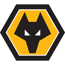 Wolves fan