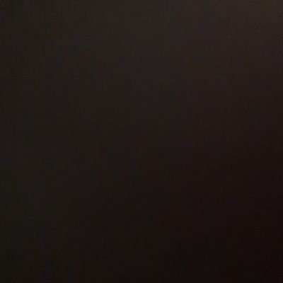 spokentruth98's profile picture. The person for truth.