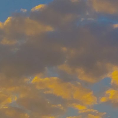 sophie90678228's profile picture. .