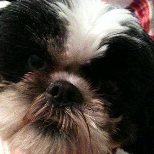 laila_461's profile picture. 