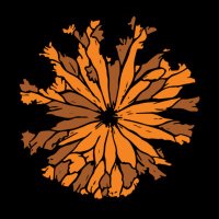 Black Shoulders Legacy Award (@black_shoulders) 's Twitter Profile Photo Black Shoulders Legacy Award (@black_shoulders) 's Twitter Profile Photo