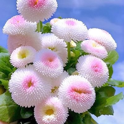 Мария Булдаковаさんのプロフィール画像