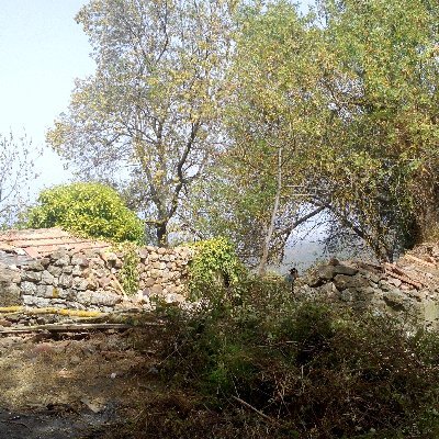 ArezqiHocine's profile picture. Le NOUS retrouvé. NOTRE Constitution Populaire. Faire renaître de ses cendres, le village martyrisé. Avis aux contributions.