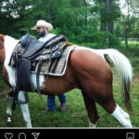 Austin (@a_ky_hick) 's Twitter Profile