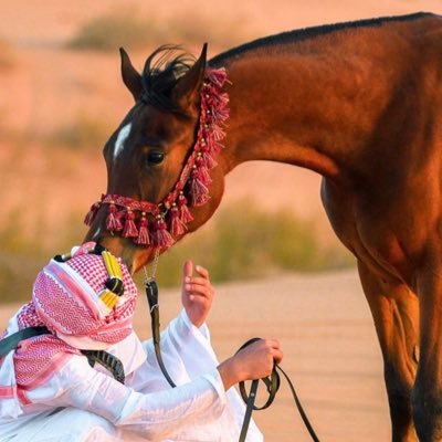 واحد من العالم / عن العالم يسد ..!