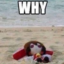 weebgee's profile picture. 