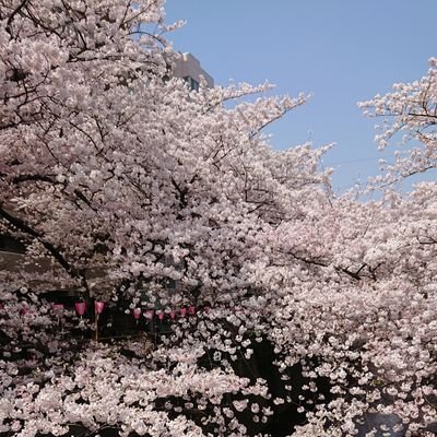 動物好き、あんこ好き、どうぶつの森好き、夏目漱石先生好き、おじゃる丸好き
、パン作り好きの還暦過ぎのばあさんです。
日本が好き。大切にしたいんです。
他国に侵入されたくない。
政治の道へ入って、日本人の為の美しい日本の国土づくりのお手伝いがしたかった。唯一の後悔。
無言フォローお許しくださいませ💦