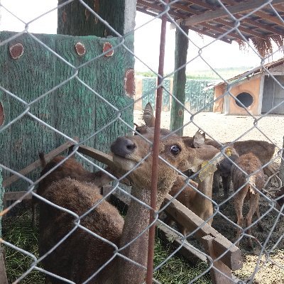 Sahayah2's profile picture. Sunflower, sky, matcha 🙆

25 Ramadhan 1419 H

Hidup hanya menunggu untuk kembali...