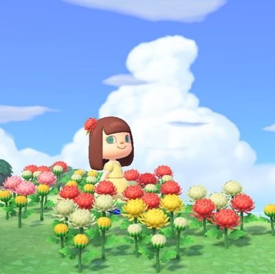 An account for me to keep my Animal Crossing New Horizons pictures for memories 🌻🌷🌹🌸🌲🌳🌿 (Don't follow ⚠️ This is an archive acc, I post too much at once)