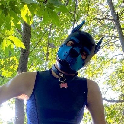 Pup/Pet/IRL Fetish account for a certain subby lad~
He/They. !!18+ ONLY!!
Omega Pup. 💓🐶
PMs/DMs always open for chats, teasing, or bullying~