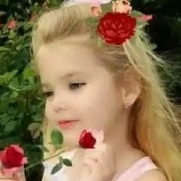 DhirajK32032256's profile picture. dhirajkumar