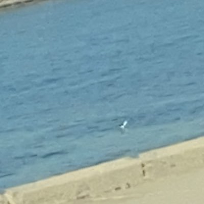 Fffaa11223's profile picture. اللهم انفعني بما علمتني ، وعلمني ما ينفعني، وزدني علما