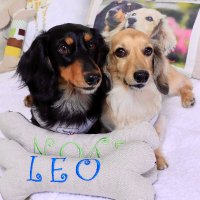 yukolovemickey (@yukolovemickey) 's Twitter Profile Photo