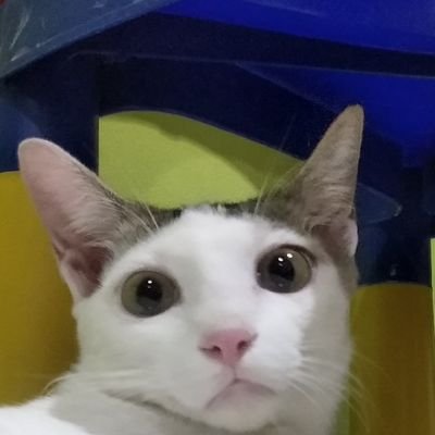 Bagus_Prasetya5's profile picture. 