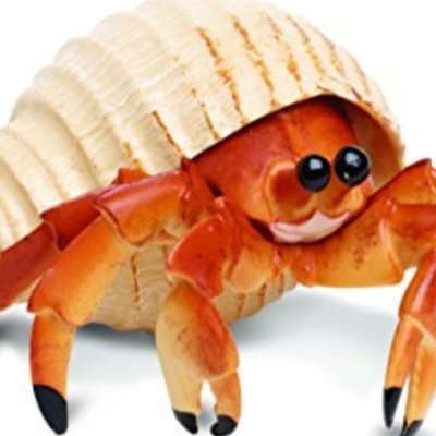 Unofficial blittle league account for the Hermit Crabs. | Hermit Crabs, Hermit Crabs, we're the best! We've got more spirit than the rest! | He/Him They/Them
