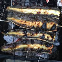 かばやき (@kabayakisan____) Twitter profile photo