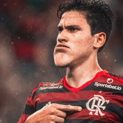 Nada do Flamengo. tudo pelo Flamengo.