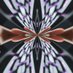 Pretty Pattern Thing (@morewillbereve1) Twitter profile photo Pretty Pattern Thing (@morewillbereve1) Twitter profile photo