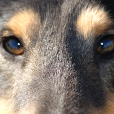 Anthony65181997's profile picture. Larrikin, Husband ,Tesla believer, Atheist,...wary of fools and people who mean well...... kind as often as possible. NOT interested in sexual content