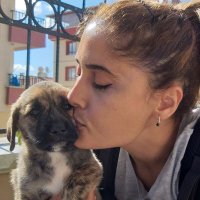 nurançelik (@nrnlk1) Twitter profile photo