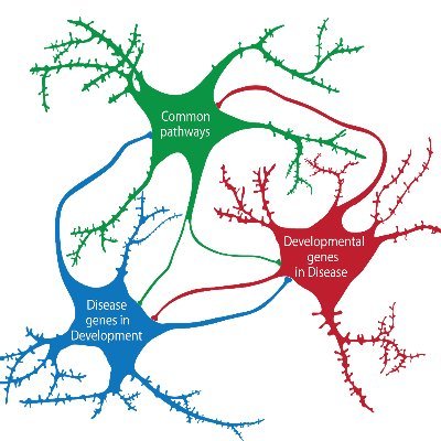 Neurodevelopment and Vulnerability of the Central Nervous System; Research training group based in Germany; disease genes in development; brain and enthusiasm
