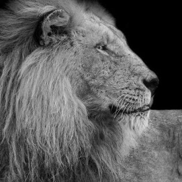 almutawah31's profile picture. | 😶. الله المعين