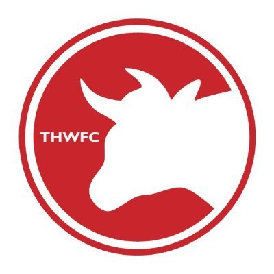 11-a-side women's football club in East London ⚽️ League: @GLWFL Div 1 & 2 ⚽️ Training: Wed @ Mile End ⚽️ towerhamletswfcinfo@gmail.com