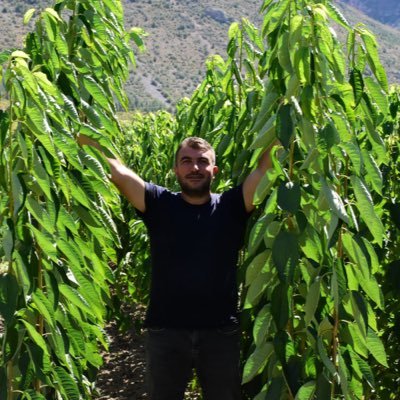 BİSMİLLAH
